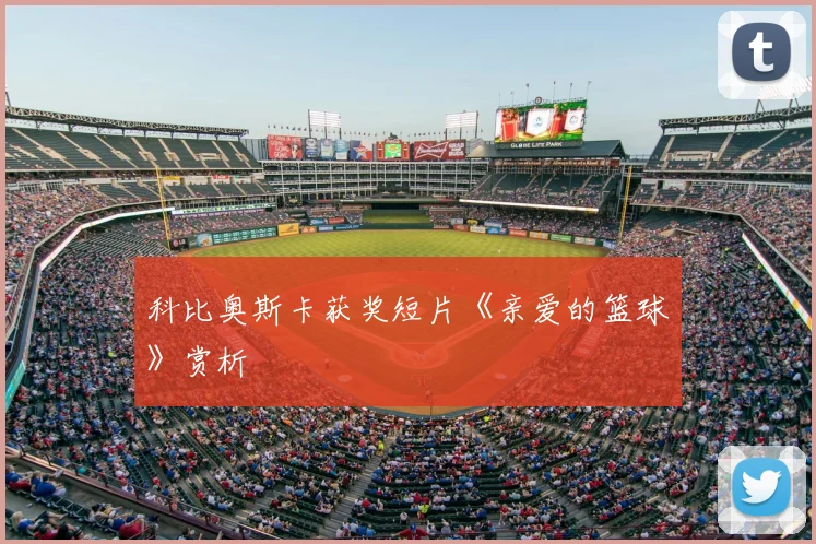 科比奥斯卡获奖短片《亲爱的篮球》赏析