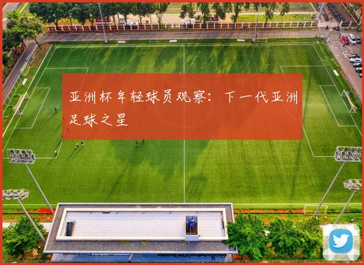 亚洲杯年轻球员观察：下一代亚洲足球之星