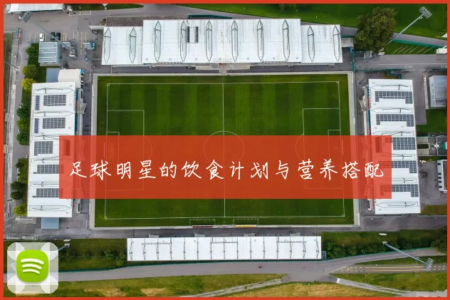 足球明星的饮食计划与营养搭配